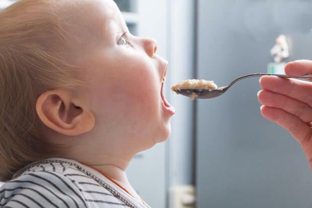 Hvordan laver man baby budding? Er baby budding nyttigt?