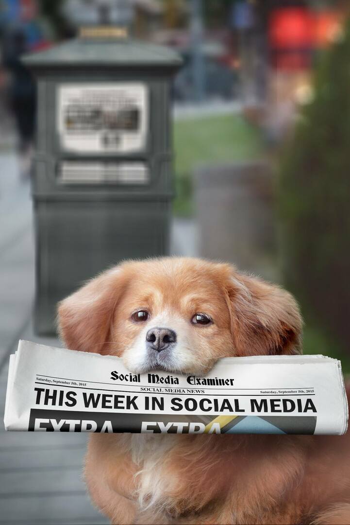 Meerkat introducerer Live Hashtags: Denne uge i sociale medier: Social Media Examiner