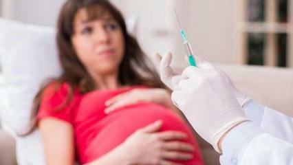 Advarsel fra eksperter! Gravide kvinder vil vente på coronavirus-vaccine