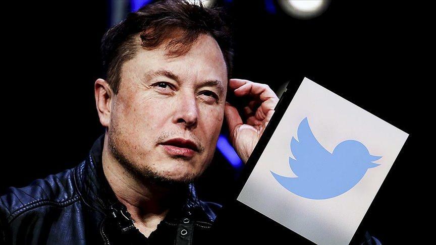 Elon Musk og Tracy Hawkins skændtes på sociale medier 