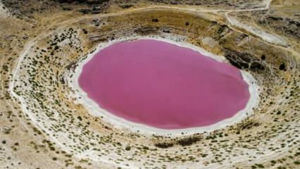 Farven på Meyil Obruk Lake er blevet lyserød!