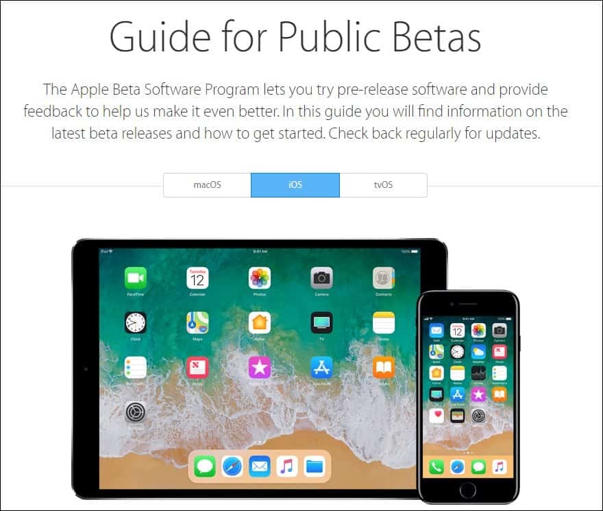 Apple-guide til offentlige betas