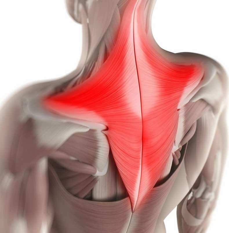 I løbet af dagen, ubevidst, kan musklerne i nakkeområdet trækkes i de forkerte siddepositioner. 