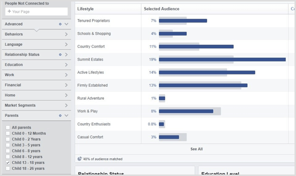 Se Facebook Audience Insights for et tilpasset publikum.