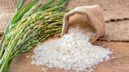 Hvad er Baldo ris? Hvad er funktionerne ved Baldo ris? 2020 baldo ris priser