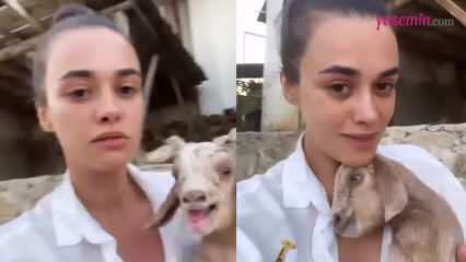 Deling fra skuespillerinden Hande Soral med det nyfødte lam!