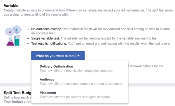 Vælg den variabel, du vil teste med din Facebook-annonce.