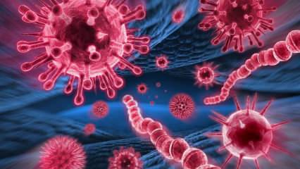 Hvad er Mers-virussen? Hvad er symptomerne på Mers-viruset? Hvordan overføres Mers-viruset?
