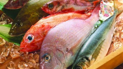 Hvad er fordelene ved fisk? Hvordan spiser de sundeste fisk?