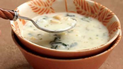 Hvad er dovga suppe, og hvordan laver man dovga suppe? Dovga suppe opskrift derhjemme