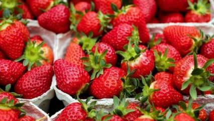 Metode til at forhindre rådne af jordbær