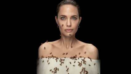 Angelina Jolie i linse med bier til bier!