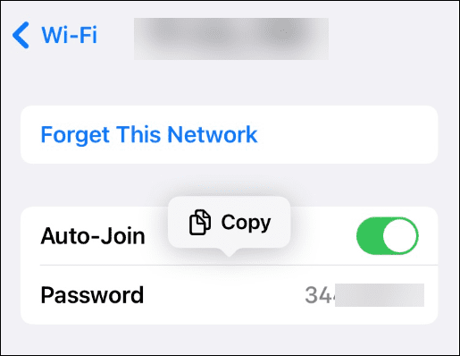Se gemte Wi-Fi-netværksadgangskoder på iPhone