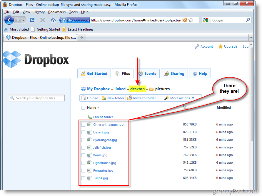 Dropbox webkonsol