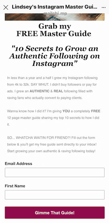 eksempel på destinationsside for blymagnet, der promoveres i Instagram-historien