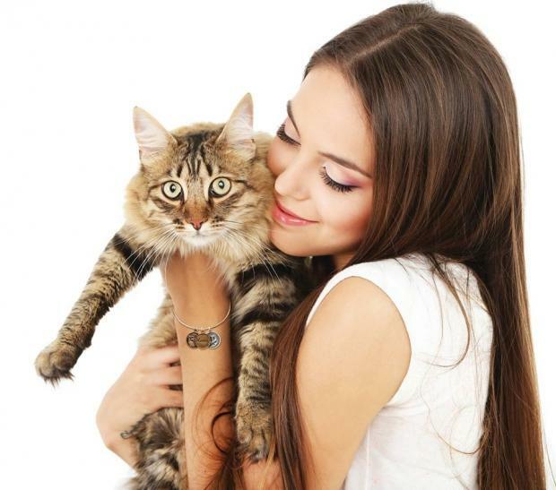 Hvordan katte viser deres kærlighed