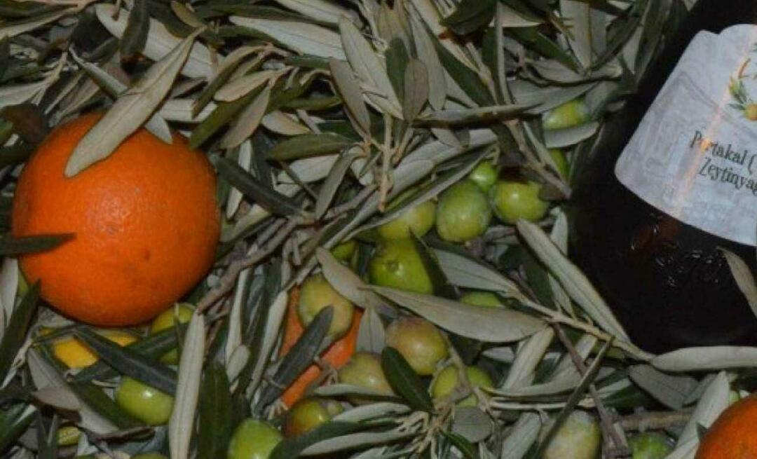 Kvindelige iværksættere fra Balıkesir producerede orange olivenolie!