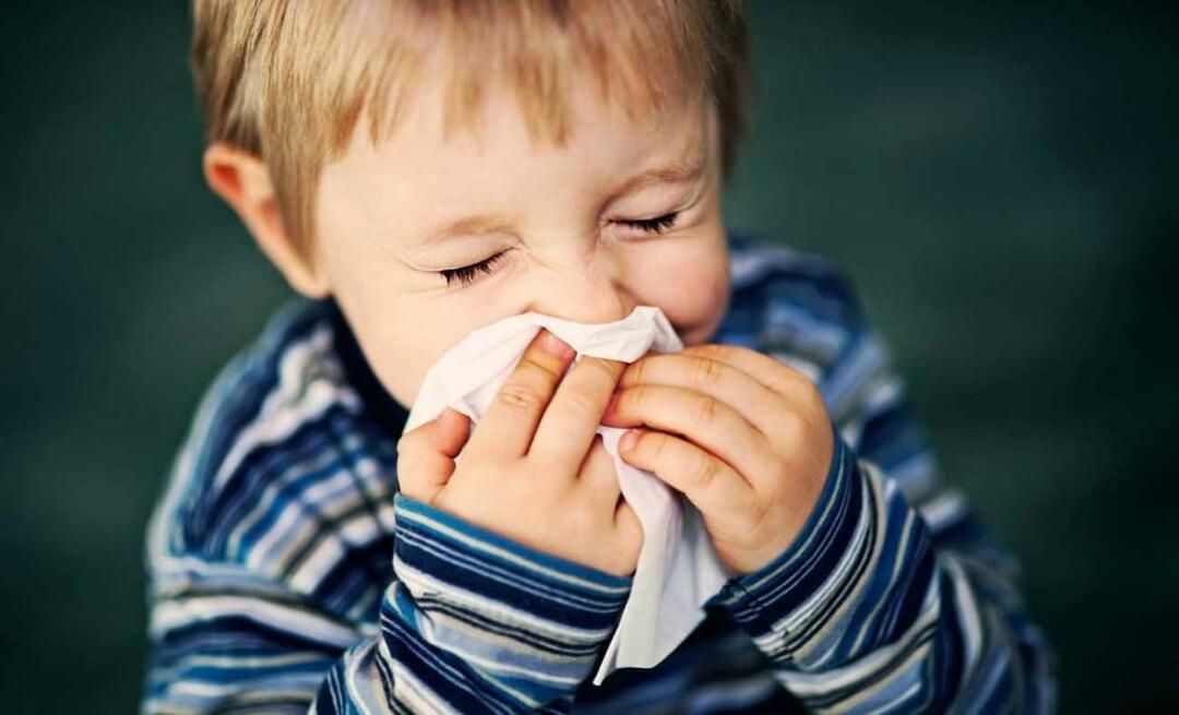 Hvad er sæsonbestemt allergi hos børn? Blander det sig med kulde? Hvad er godt for sæsonbestemte allergier?