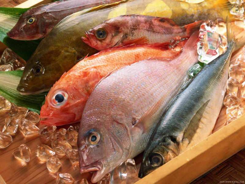 Tips til valg af frisk fisk fra Masterchef-juryen Mehmet Chef