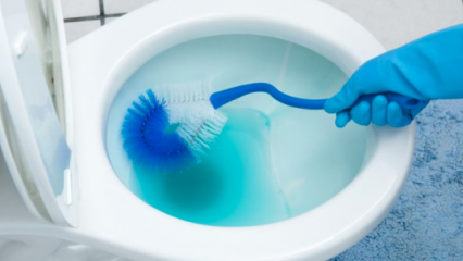 Hvordan rengør man en toiletbørste? 
