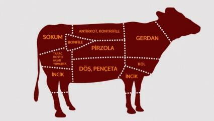 Hvad er dele af oksekød? Hvilket kød skæres fra hvilken region?