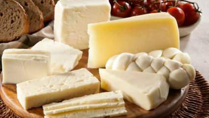 Hvordan opbevares ost? Sådan opbevares ost fra køleskabet