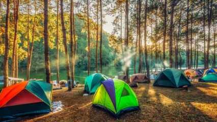 De bedste campingruter til efteråret! De smukkeste campingområder, hvor du kan kaste et telt om efteråret