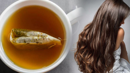 Hvad er fordelene ved grøn te til håret? Grøn te hudmaske opskrift