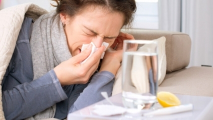 Hvilke fødevarer er der gode til forkølelse og influenza? 5 fødevarer, der forhindrer influenza ...