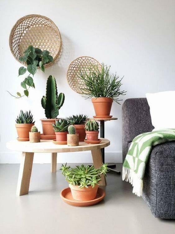 plante dekoration