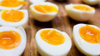 Hvordan skal det kogte æg opbevares? Tip til ideel ægkogning