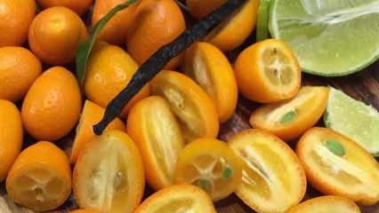 Forebyggelse af lungekræft: Hvad er fordelene ved kumquat? Hvordan forbruges Kumquat?