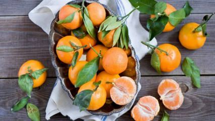 Hvad er fordelene ved mandarin? Hvad sker der, hvis du spiser mandariner i en uge?