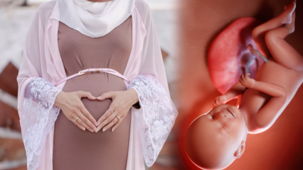 Bønner der skal læses for at holde babyen sund under graviditeten og minderne om Huseyins ønsker
