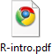 google chrome pdf ikon
