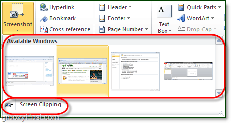 screenshot-værktøjet har to muligheder i office 2010