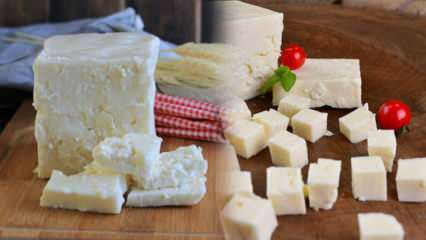 Hvad er Ezine-ost, og hvordan forstås den? Ezine ost opskrift