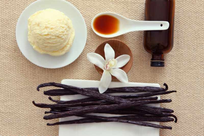 Hvad er sukkerholdigt vanillin? Er Vanilla og Vanilin de samme ting? Fremstilling af vanille med sukker