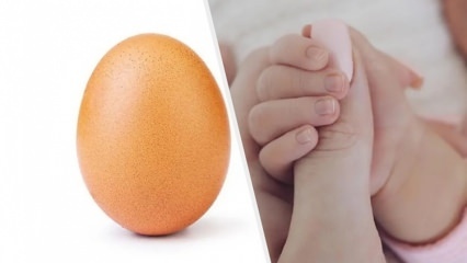 Et rekordstort æg med 28 millioner likes