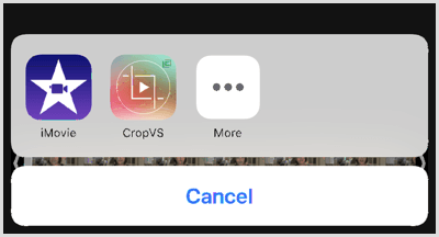 Tryk på CropVS-ikonet for at åbne appens værktøjer.