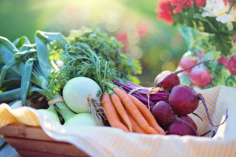 Hvad er vegetabilsk diæt? Hvordan man laver en grøntsagskost