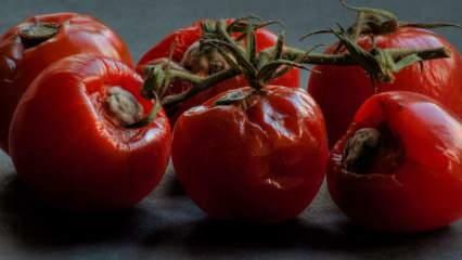 Smid ikke rådne tomater i skraldespanden! Det fungerer så godt