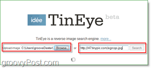 TinEye-skærmbillede - se dit billede op efter duplikater og større versioner