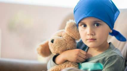 Hvad er blodkræft (leukæmi)? Leukæmi symptomer og behandling hos børn
