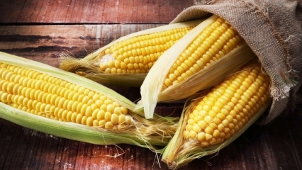 Hvad er fordelene ved majs? Drikker du saften af ​​kogt majs?