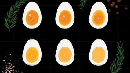 Hvordan koges ægget? Æggekogetider! Hvor mange minutter koger et kogt æg?