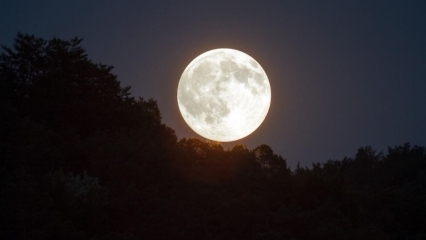 Hvad er Super Moon? Hvordan sker Supermåneformørkelsen? Hvornår finder Super Moon sted?
