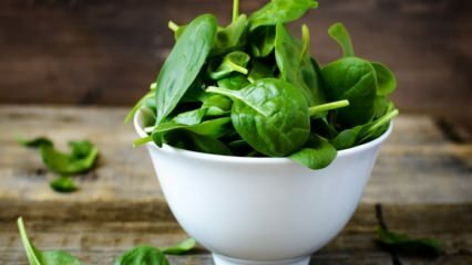 Hvordan forstå giftig spinat? Hvordan rengøres spinat?