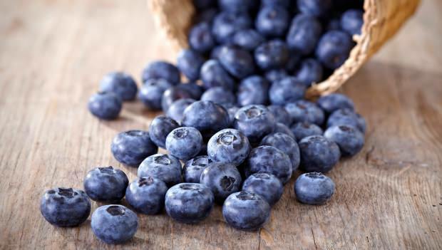 Sådan forstå Blueberry?
