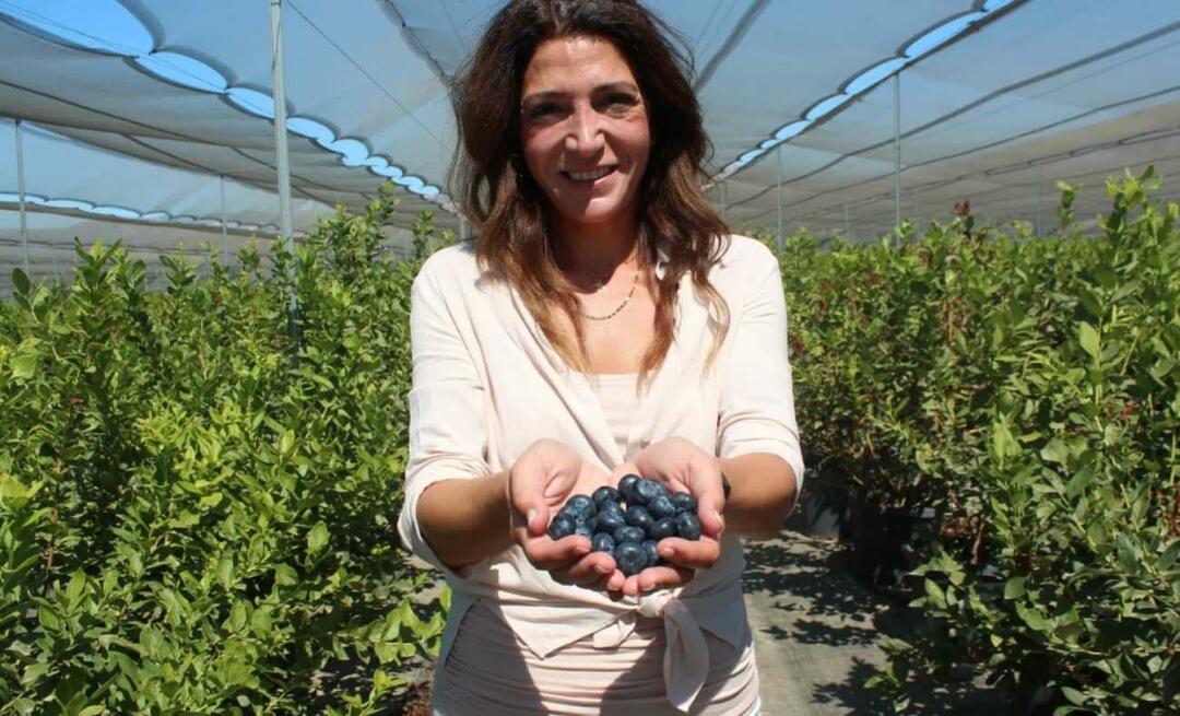 Han blev den tredjestørste landmand i Tyrkiet ved at dyrke blåbær!
